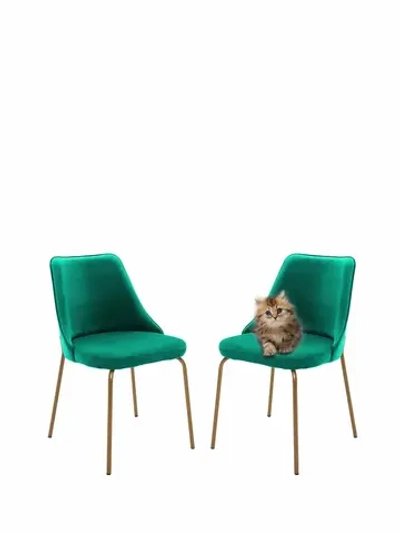 Стул "Флорес" 2 шт. Антивандальная ткань, Золотые ножки