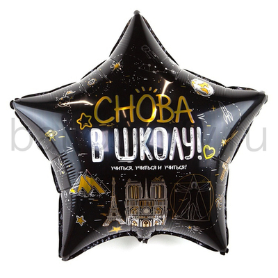 Фольгированная фигура, звезда с рисунком, СНОВА В ШКОЛУ, 22"/56СМ