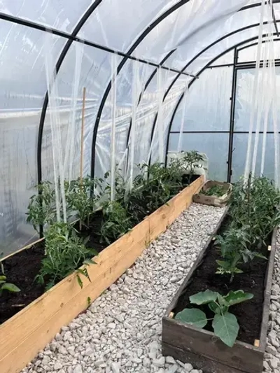 Бинт строительный 50мм*100м белый, подвязка для растений