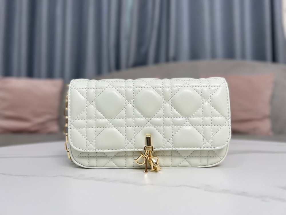 Christian Dior Bag 18 cm
