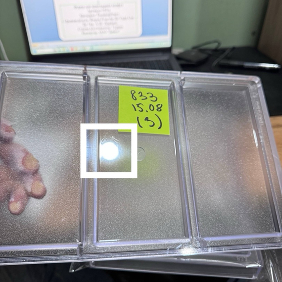 833-у | Форма для шоколадных изделий (275*175мм)