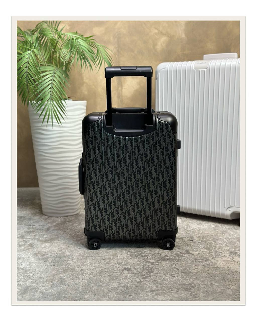 Чемодан Christian Dior S