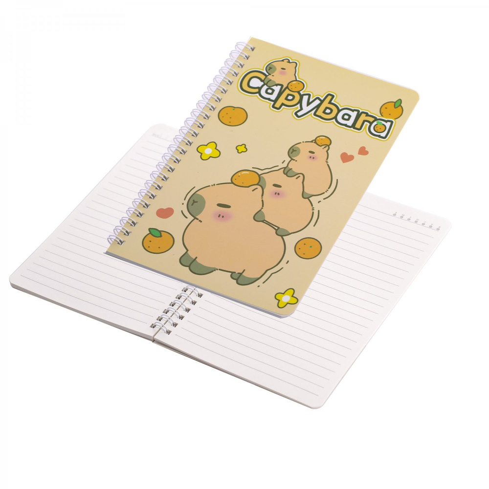 Набор школьный Alingar, "Капибара", 27 предметов, картонная коробка