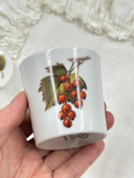 Горчичница Royal Worcester Evesham
