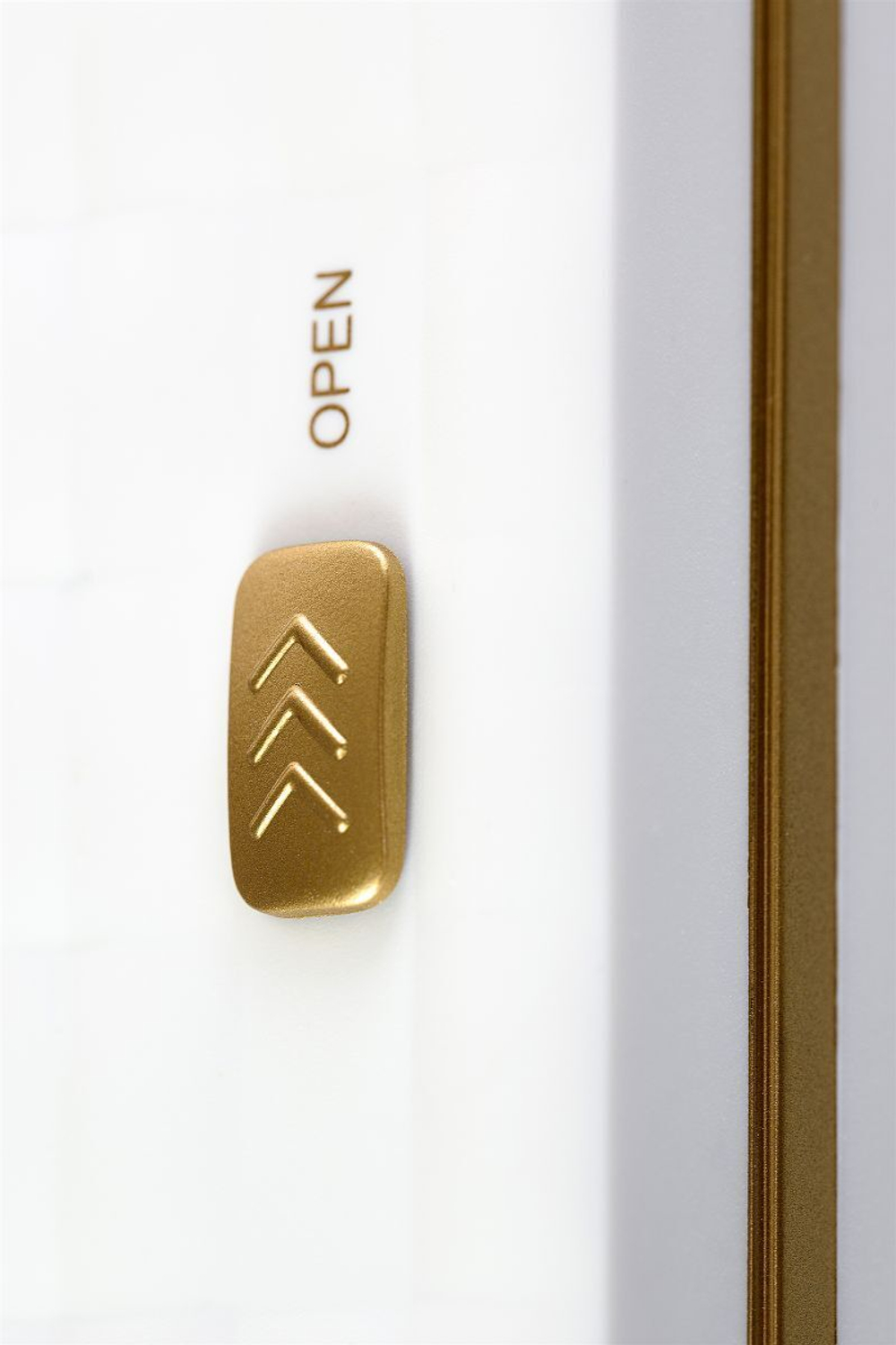 Контейнер для обработки Rosa Rugosa Security Knight Q3 (Цвет: белый с золотистым)