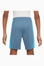 Шорты Nike Dri-FIT Academy 23 Детские - голубой
