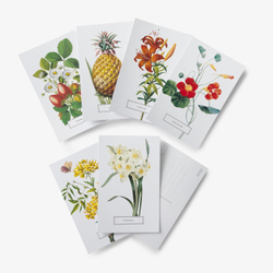 In Full Bloom: 100 Postcards