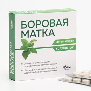 Мочеполовая система