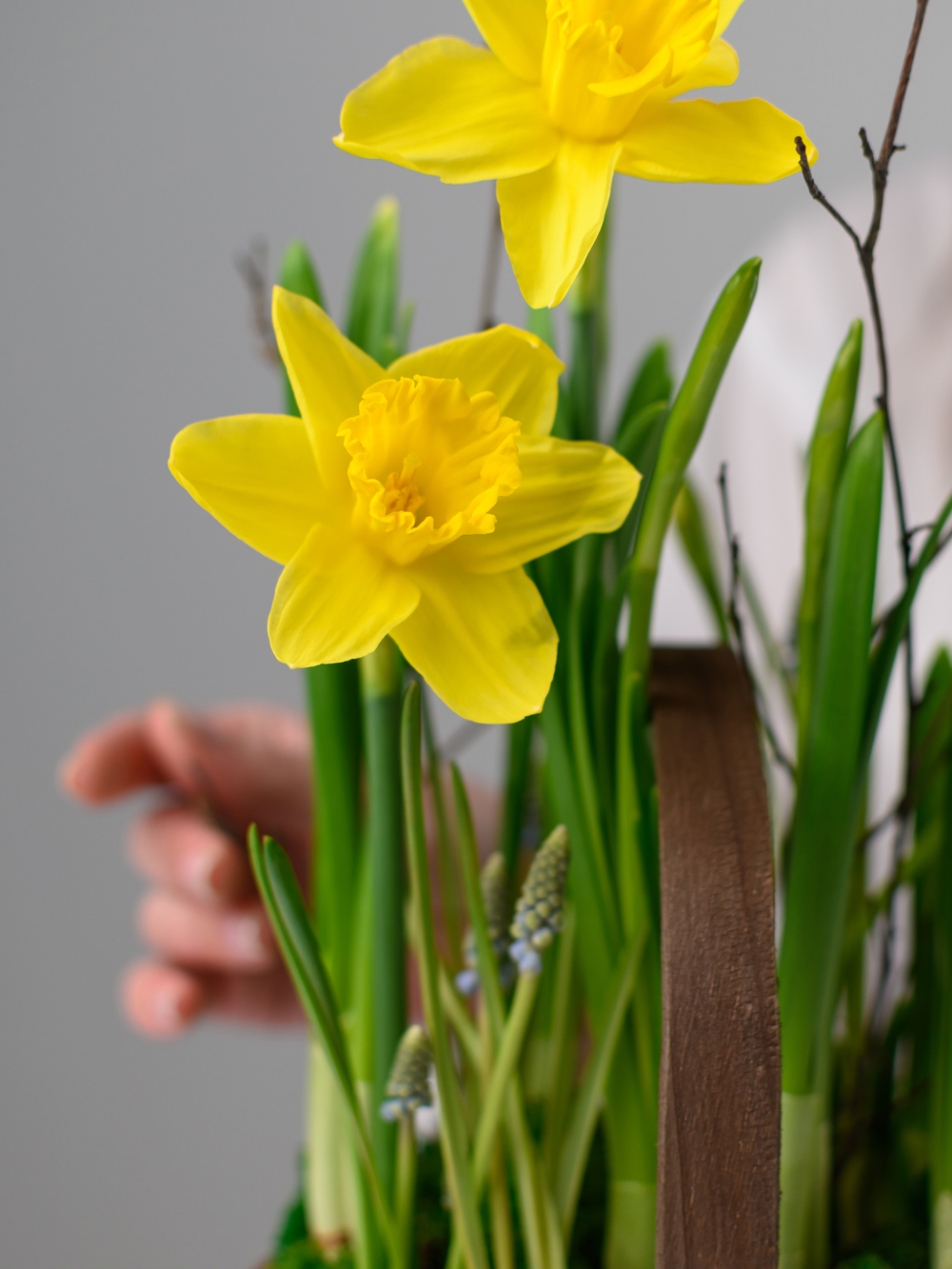 Лесная полянка