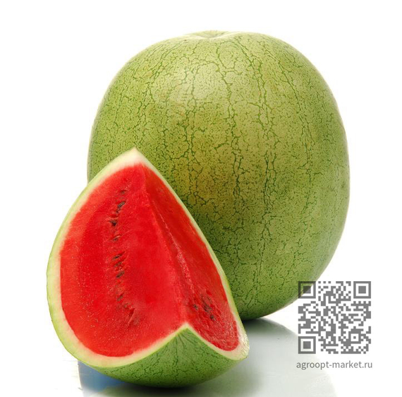 Эль_Уафи_F1_семена_арбуза_Sakata_купить – фото 1
