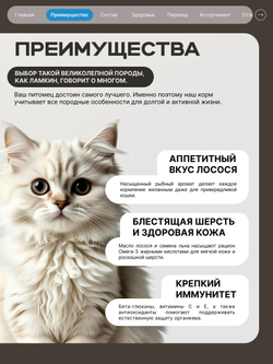 Корм сухой для взрослых кошек породы Ламкин, с лососем, 5 кг, QUATTRO