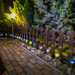 USL-C-452-PT305 YELLOW TULIP Садовый светильник на солнечной батарее Желтый тюльпан. Белый свет. 1xLR аккумулятор в-к. IP44. TM Uniel.