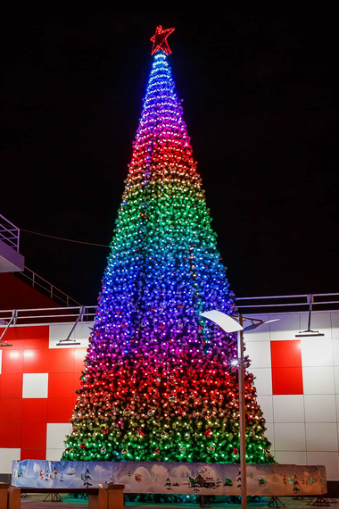 Комплект освещения 3D Премиум для елей высотой 24 м., 64 шт. * 24 м., Green Trees (3D24)