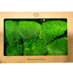 Мох кочкообразный "Verdissimo" New