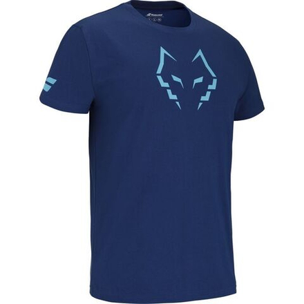 Мужская теннисная футболка Babolat Cotton Lebron - небесный