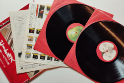 Винтажная виниловая пластинка LP The Beatles 1962 1966 (Japan 1973) (Obi)