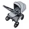 Коляска ANEX l/type 2 в 1 (lt-10t) frost + Аксесcуары