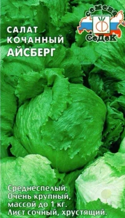 Салат семена зеленый