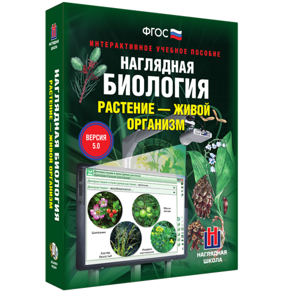 Наглядная биология. Растение - живой организм