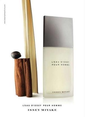 Issey Miyake L'eau D'Issey Pour Homme