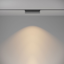 Трековый светильник Maytoni Technical TR075-2-20W3K-B