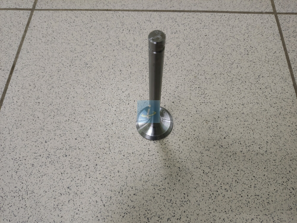 Клапан выпускной 236-1007015-В6