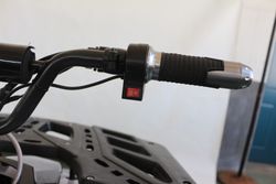 Квадроцикл GreenCamel Атакама T240 (48V 1000W R8 Дифференциал) пониженная