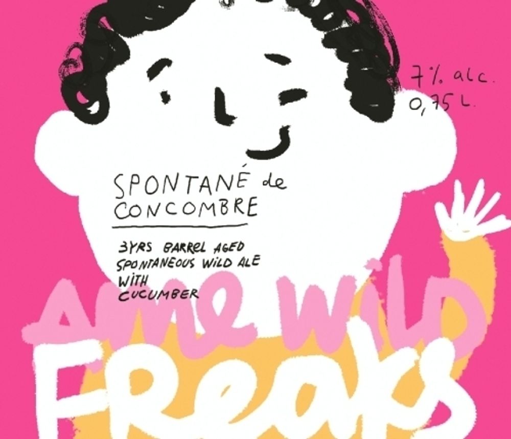 Пиво Эми Вайлд Фрикс Спонтан Де Конкомбре / Ame Wild Freaks Spontane De Concombre 0.75л - 3шт