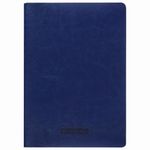 Тетради 48 л. в клетку обложка гладкий кожзам, НАБОР 3 шт., сшивка, А5 (147х210 мм), BRAUBERG VIVA, 403892