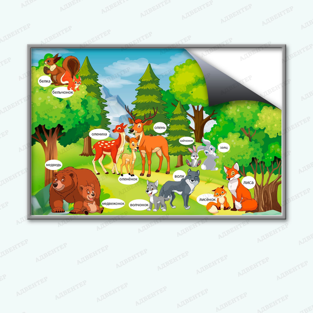 Комплект развивающий Природа: Дикие животные 2169