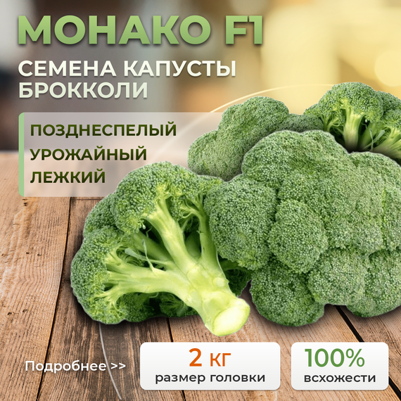 МОНАКО_F1_семена_капусты_брокколи_Syngenta_Alexagro_семена_купить