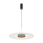 Подвесной светодиодный светильник Maytoni El MOD041PL-L15W3K1