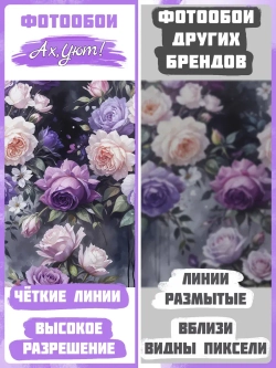 Темные Фотообои Цветы фиолетовые розы