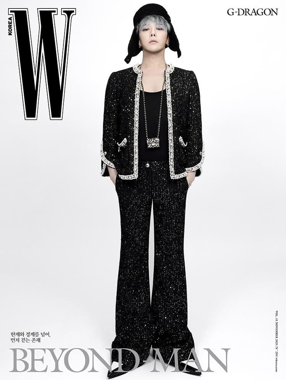 публикация W - 2025 Vol. 11 GD D Type