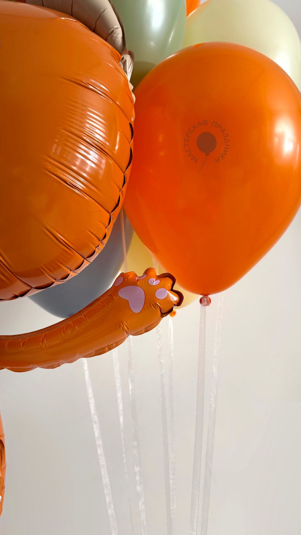 Воздушные шары Котэ №8906  Изображение4