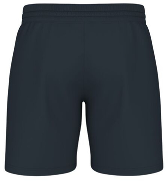 Мужские теннисные шорты Head Play - небесный