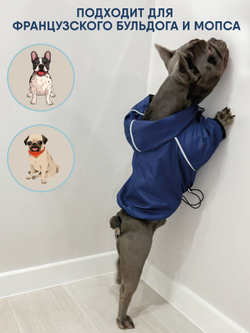 Универсальная куртка дождевик для собак Монморанси, цвет олива, размер L