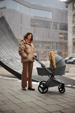 Детская коляска Anex l/type 3 в 1 Frost