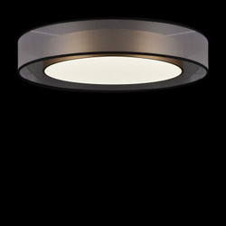 Накладной светильник Freya FR6005CL-L48G