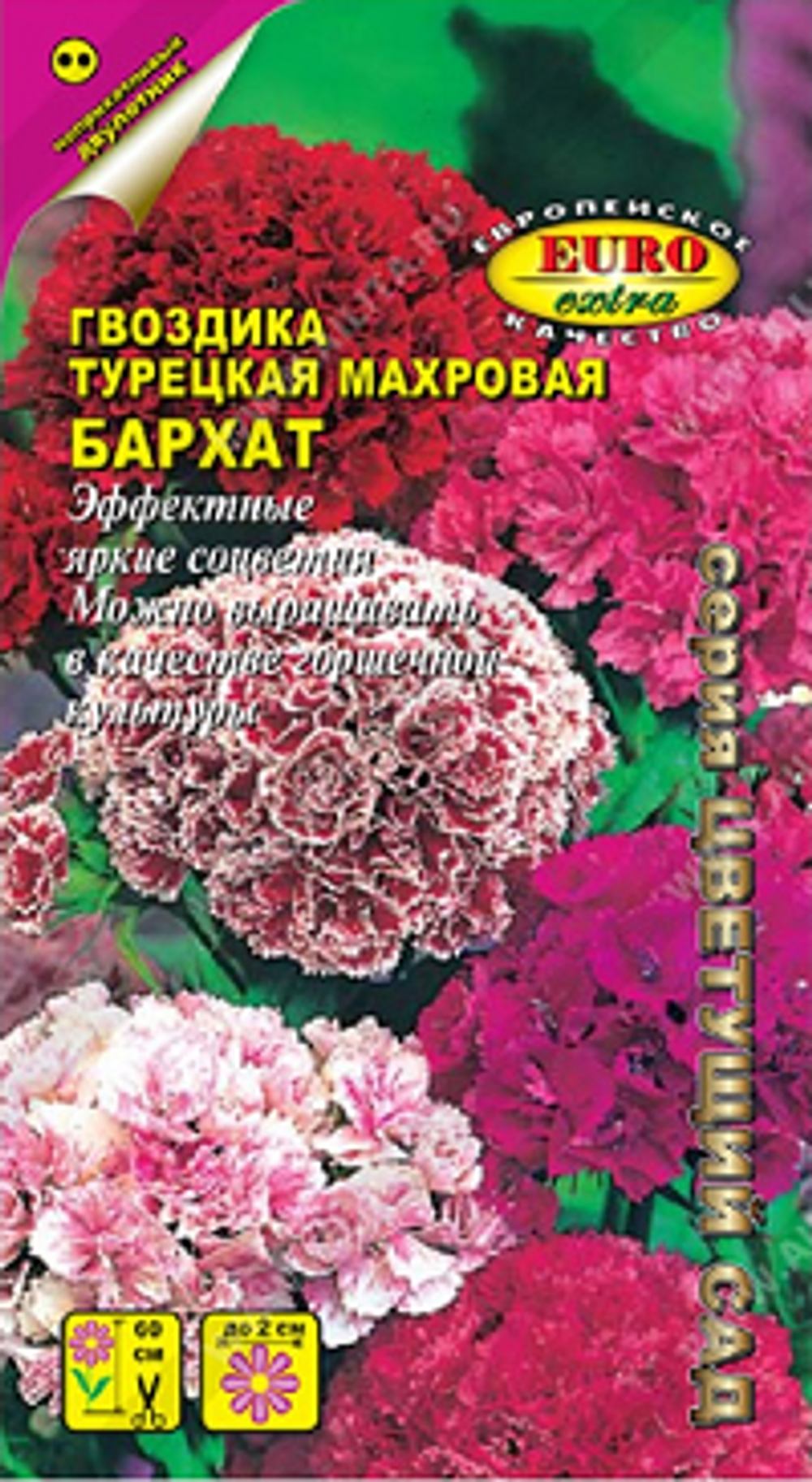Гвоздика турецкая Бархат