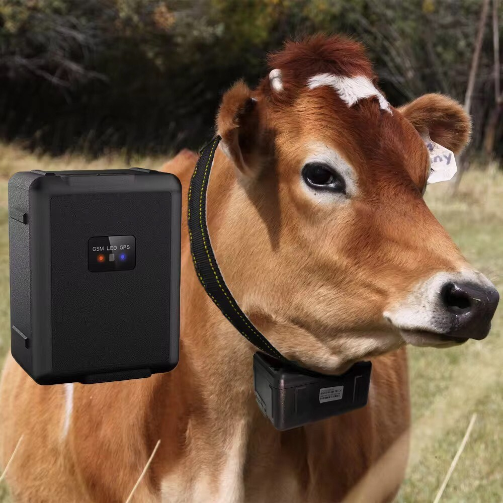 gps 30000mah