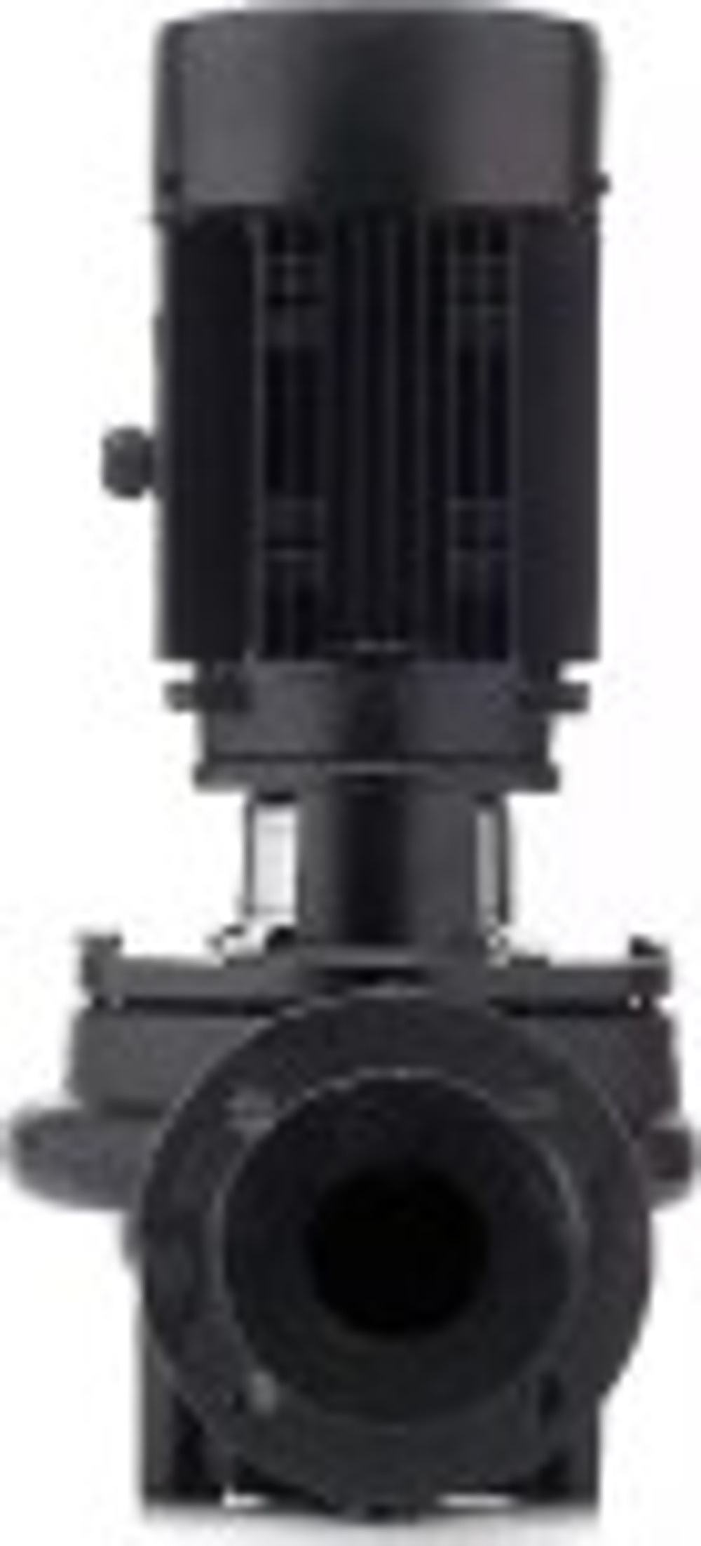 Насос циркуляционный PURITY INLINE PTD50-39G/2 100590564