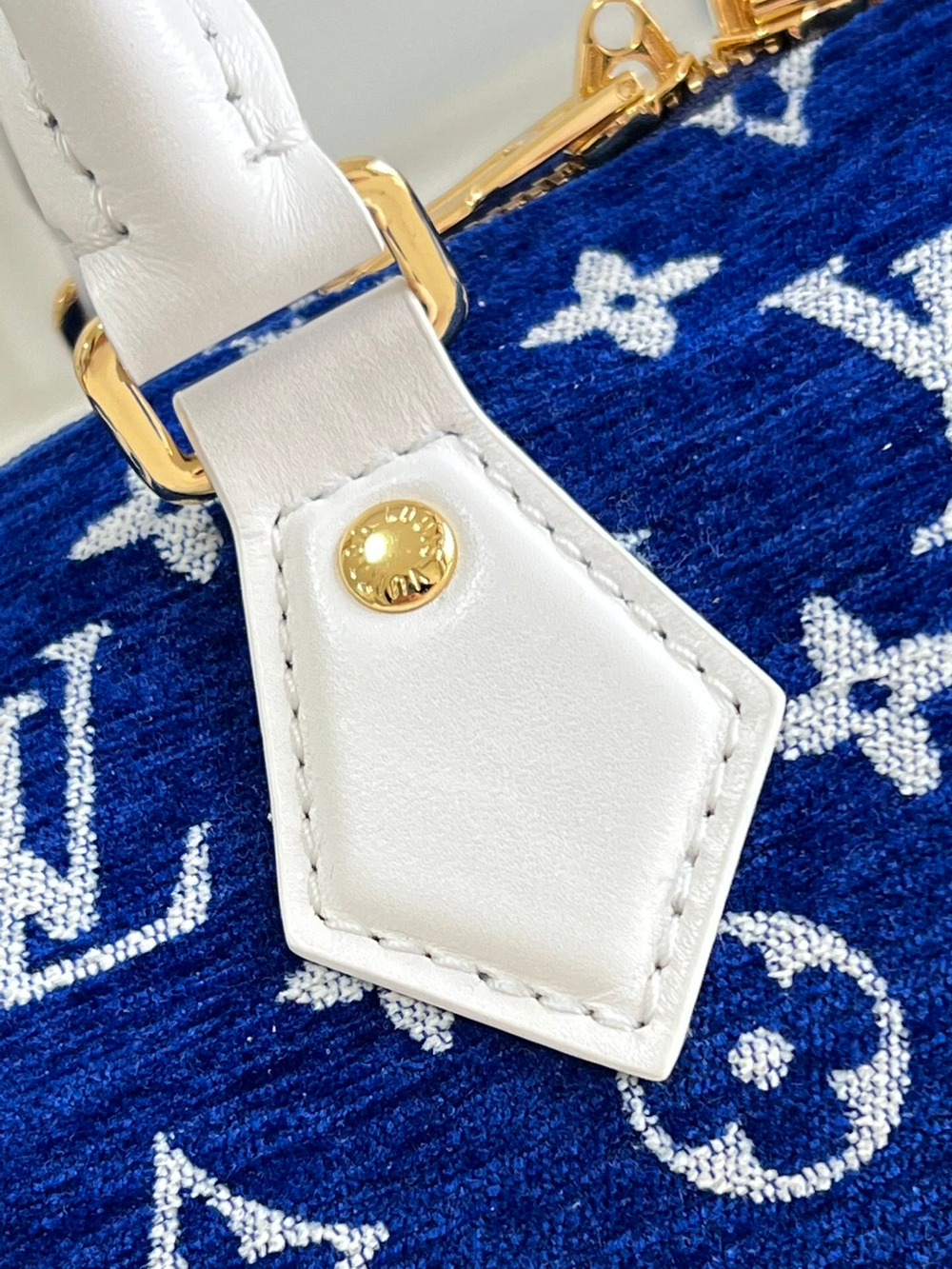 Louis Vuitton Speedy 20