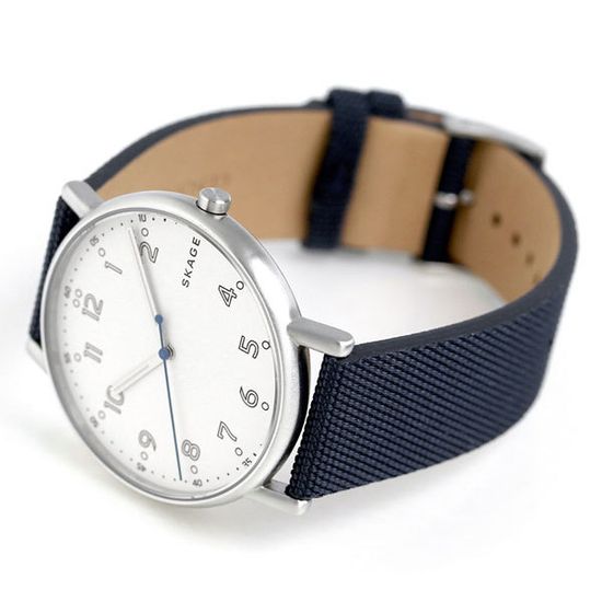 Мужские часы Skagen SKW6356
