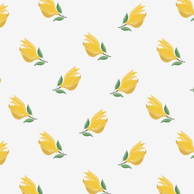 Цветок Иланг-иланга на светлом фоне