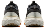 Кроссовки Nike Acg Mountain Fly 2 Low Gore-Tex