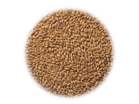 Солод RITE HAND CRAFT MALT Pilsner