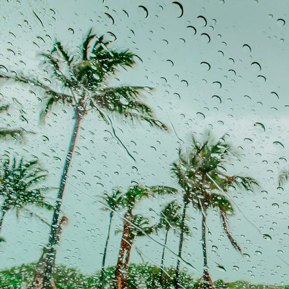 Ливень в Майами (Miami Rainstorm)