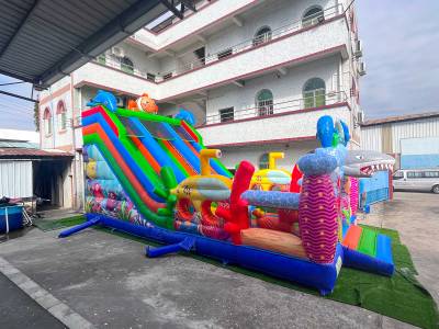 Коммерческий надувной батут «Океания» 10*5*6 м