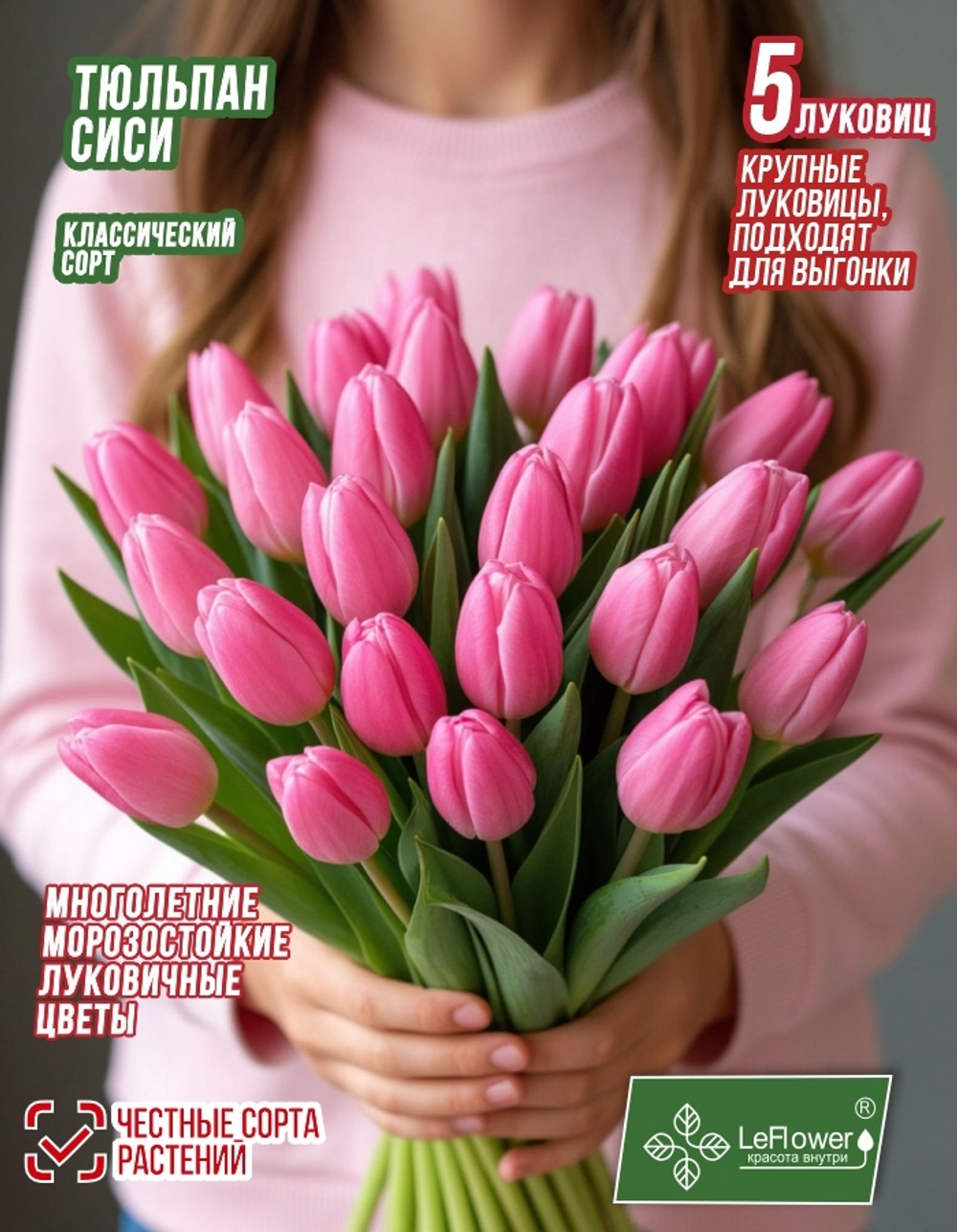 Тюльпан Луковица, Сиси, 5 шт крупные